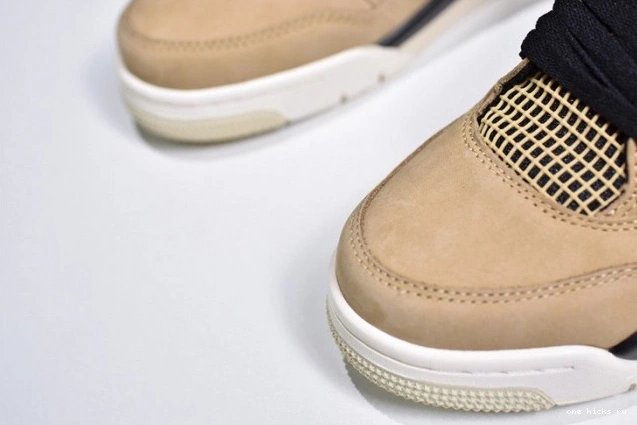 Chep Onekick 4 Jordan Mushroom Air AQ9129-200 0701